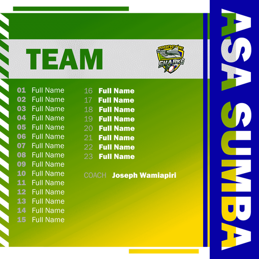 Hammerheads Team Template